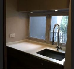 The Meyerise (D15), Condominium #576681551